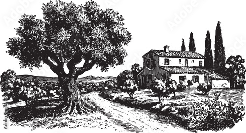 Olive grove in rustic Mediterranean farmland. Hand-drawn black and white vector illustration featuring a landscape with trees and a house set.