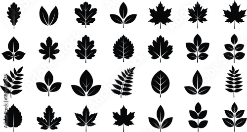 Leaf silhouette vector set, black tree foliage collection, autumn nature illustration, isolated plant icons, oak maple fern shapes, botanical graphic design elements, white background