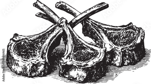 Raw lamb chops. Detailed illustration of a set of three meat cuts with bones, isolated on a black background, in a vintage style vector illustration.