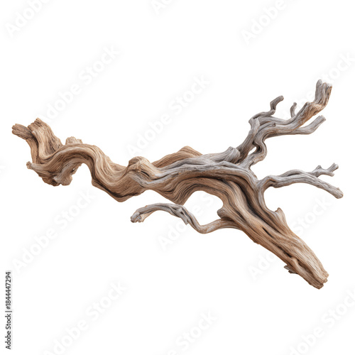 Twisted Wood Branch With Unique Texture and Shape Displayed on Plain Background