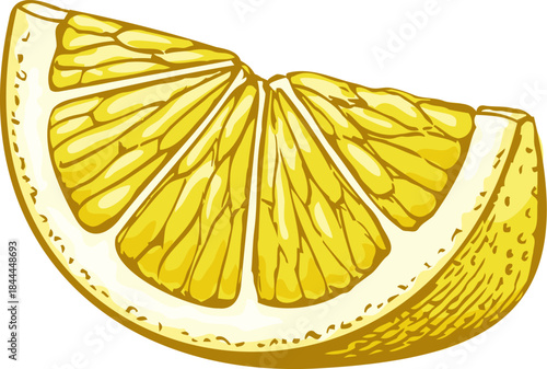 Hand drawn lemon wedge illustration