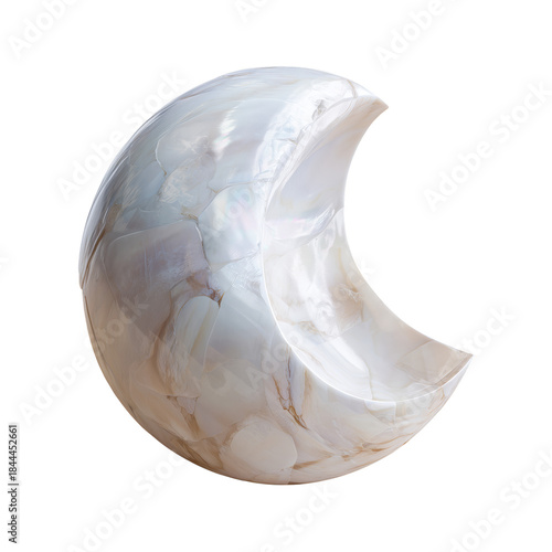 Shell With Spiral Shape Found on a Sandy Beach During Daylight Hours