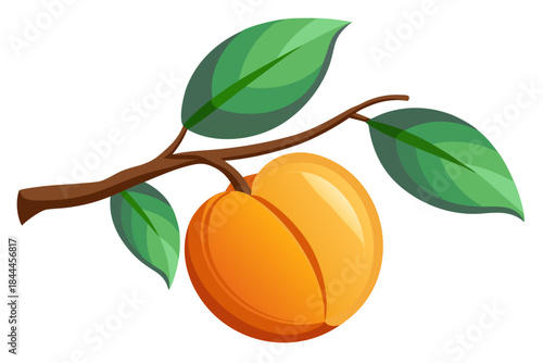 apricots with leaves