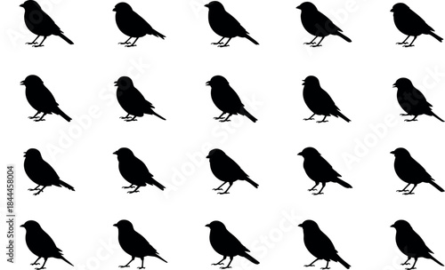 A solitary female photographer captures a majestic sunset over a serene alpine lake