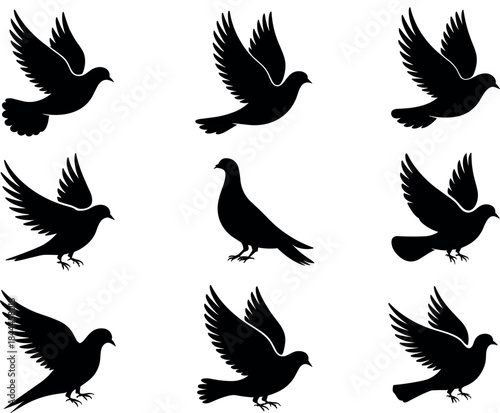 A solitary female photographer captures a majestic sunset over a serene alpine lake