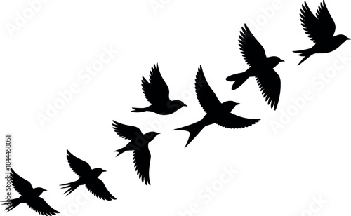 A solitary female photographer captures a majestic sunset over a serene alpine lake