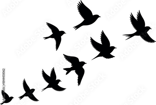 A solitary female photographer captures a majestic sunset over a serene alpine lake