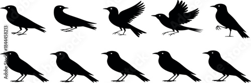 A solitary female photographer captures a majestic sunset over a serene alpine lake