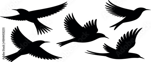 A solitary female photographer captures a majestic sunset over a serene alpine lake