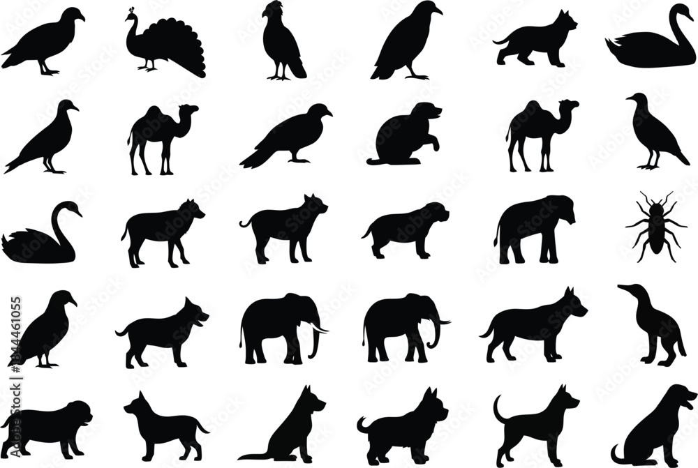 Fototapeta premium A large collection of black silhouettes featuring various animals and birds