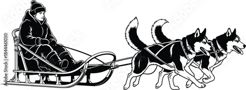 Dog sledding illustration with huskies pulling sled, winter adventure sport, arctic travel silhouette vector design