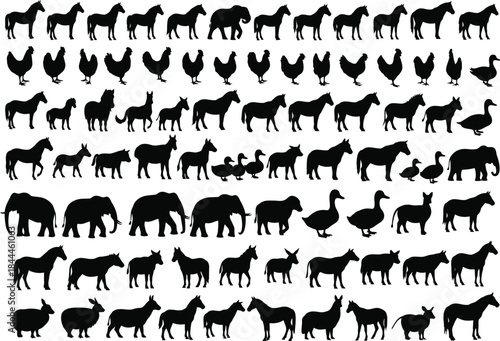 Farm animal silhouette collection with horses, chickens, ducks, and other livestock