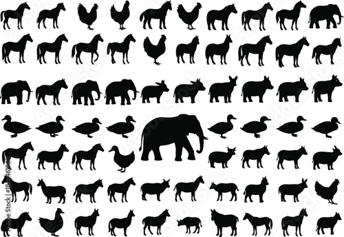 Black silhouettes of diverse animals, including farm animals, mammals, and birds on white background