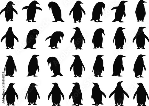 A collection of black and white penguin silhouettes in various poses