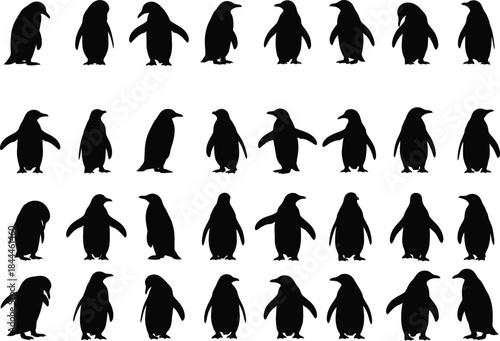 Collection of black penguin silhouettes showing various poses and movements