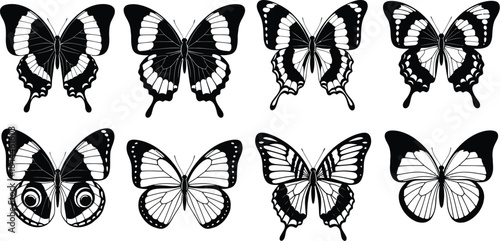 A set of eight different black and white butterfly illustrations for design and patterns