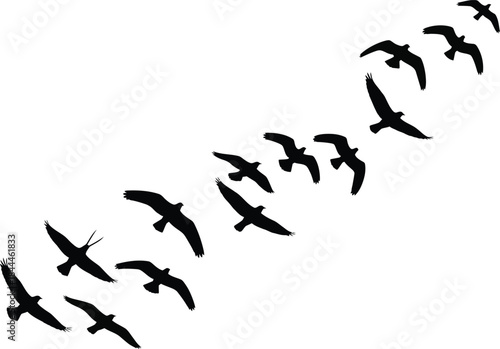 Silhouette of a flock of birds flying in diagonal formation against a clean white background