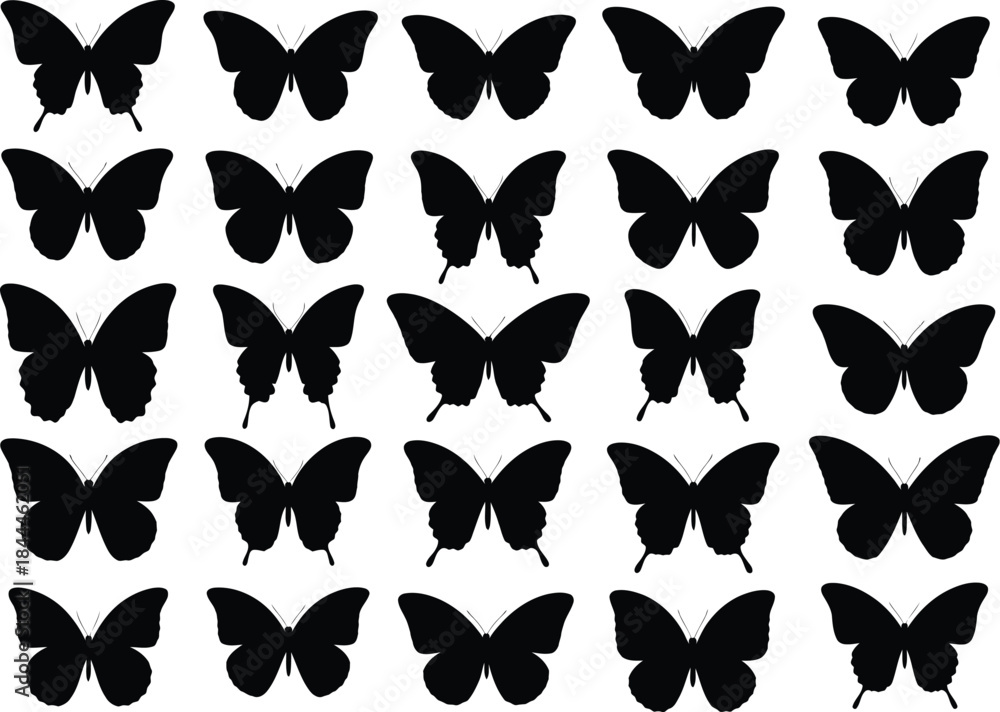 Fototapeta premium Various black butterfly silhouettes creating a repeating pattern on a plain white background