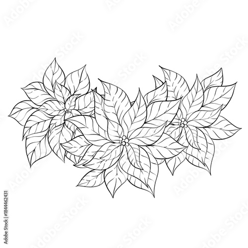 Poinsettias in a Bouquet Design Intricate Line Art Style Suitable for Coloring Enthusiasts and Relaxation Activities During Festive Seasons