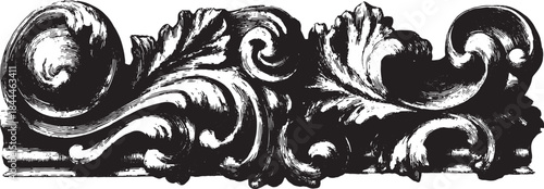 Decorative ornament design in black and white. Vintage illustration features intricate calligraphy in a vector format.