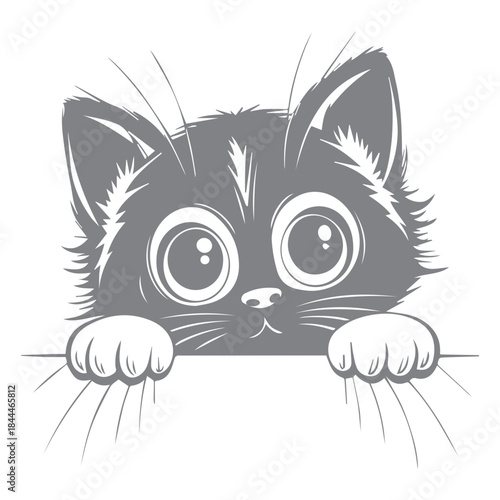 Adorable Kitten Peeking