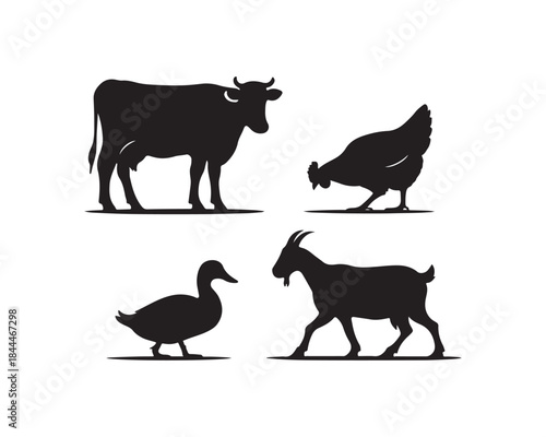 Farm animals silhouette, cow, goat, duck, chicken silhouette, cow grazing, duck pecking scattered grains, goat walking & chicken walking vector illustration collection set, farm animals silhouette,