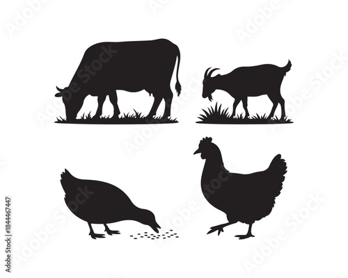 Farm animals silhouette, cow, goat, duck, chicken silhouette, cow grazing, duck pecking scattered grains, goat walking & chicken walking vector illustration collection set, farm animals silhouette,
