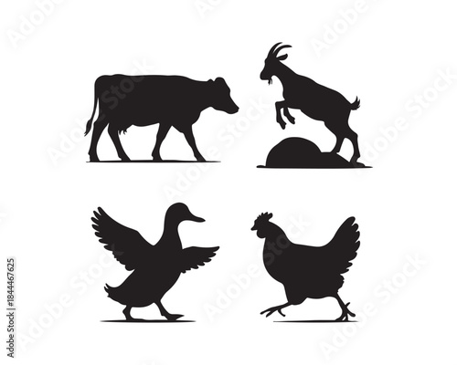 Farm animals silhouette, cow, goat, duck, chicken silhouette, cow grazing, duck pecking scattered grains, goat walking & chicken walking vector illustration collection set, farm animals silhouette,