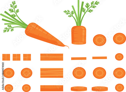  Realistic graphic illustration of a full carrot and various cooking cuts like round slices and diced cubes, perfect for menu design or dietary promotion materials..