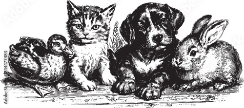 Illustration of cute animals: cat, dog, rabbit, and duck. Vintage vector set showcasing companionship and playful nature.