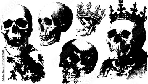 Vintage skull engraving set featuring detailed outlines in monochrome. Classic vector illustration for artistic projects.