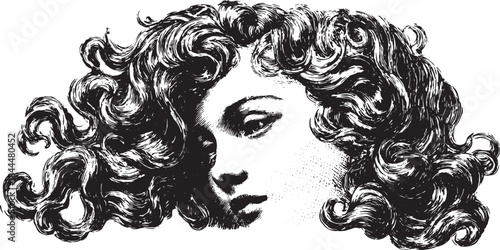 Stylized hair waves in a vintage illustration. Black and white vector drawing features curly textures and elegant hairstyle, emphasizing fine artistry details.