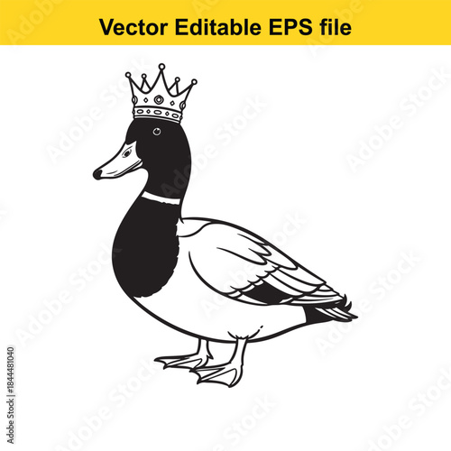 Duck wearing crown