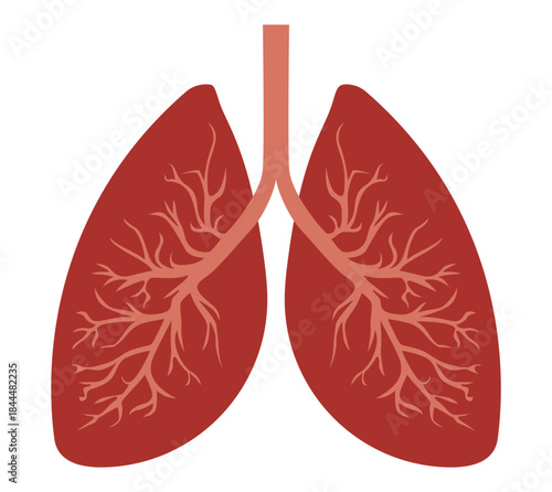 Vector Design of Human Lungs – Anatomical Structure Concept