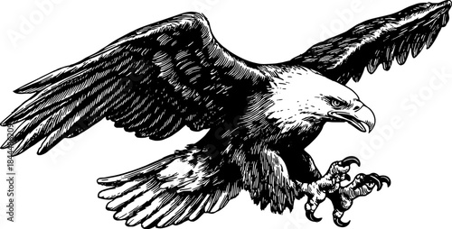Vintage outline illustration of an eagle flying. Detailed black and white vector art showcasing its majestic wings and claws in an intricate design set.