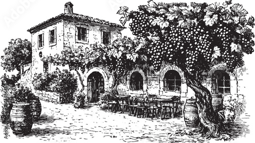 Village cafe with stone building, outdoor tables, and grape vines. Rustic vector illustration featuring cozy architecture and textured ambiance.