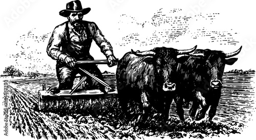 Farmer plowing with oxen in vintage black and white outline style. Classic vector illustration of rural agriculture scenes depicting traditional farming.