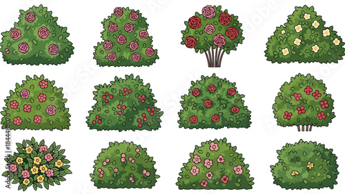 Vector garden blooming bush set, green spring rose hedge collection, shrub landscape objects. Park vegetation illustration, nature floral icons, outdoor decorative elements. Garden bush clipart