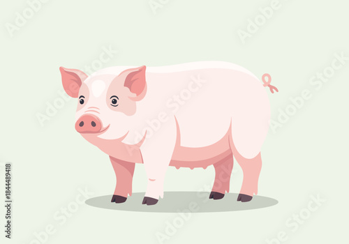 Cute Pink Pig Standing on a Light Background.