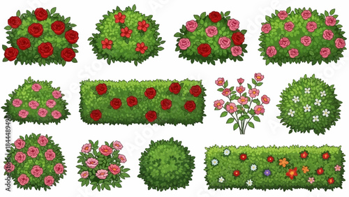 Vector garden blooming bush set, green spring rose hedge collection, shrub landscape objects. Park vegetation illustration, nature floral icons, outdoor decorative elements. Garden bush clipart