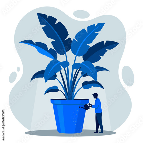 Person watering a large blue houseplant in a blue pot