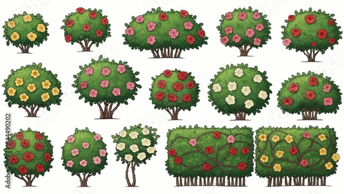 Vector garden blooming bush set, green spring rose hedge collection, shrub landscape objects. Park vegetation illustration, nature floral icons, outdoor decorative elements. Garden bush clipart