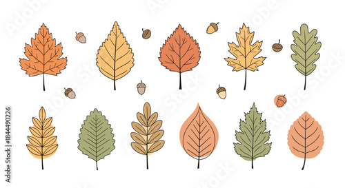Colorful autumn leaves in warm orange yellow and green tones with scattered acorns arranged in two rows on a light background.