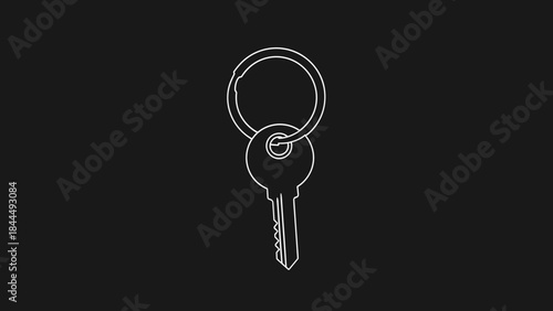 Simple outline drawing of a single key on a keyring.
