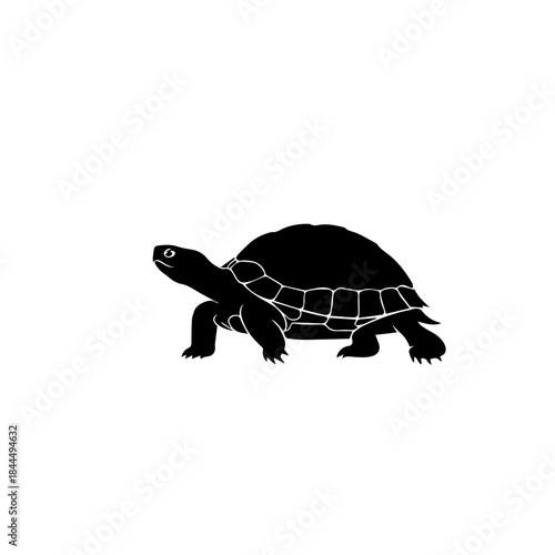 Black silhouette of a tortoise walking on a white background, side view, showcasing its distinctive shell and slow movement.