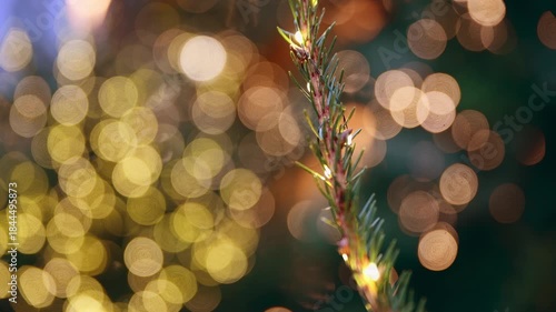 Close-up of christmas garland with glowing holiday lights and bokeh background