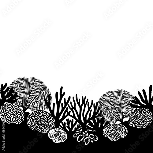 Black and white illustration of diverse coral reef formations and marine plants creating an underwater border design.