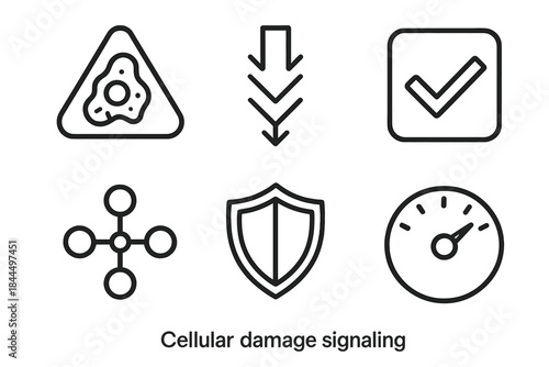 Cellular Repair Icons. Cellular Damage Signaling linear set: damage detection icon, signaling cascade arrow, checkpoint tile, repair recruitment node, protection shield, stability