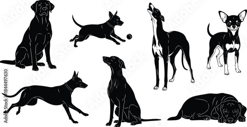 Dog silhouettes collection showing different breeds and poses, sitting running sleeping playing, black and white vector illustration set for design