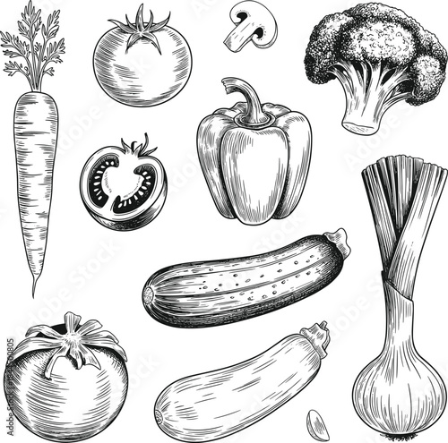 Vegetable illustration, hand-drawn sketch, black and white artwork, carrot, tomato, mushroom slice, broccoli, bell pepper, onion, zucchini, cucumber